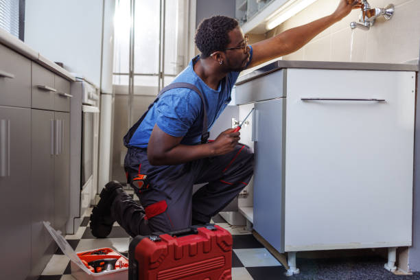 Best Plumbing Inspection Services  in Alpine, NJ